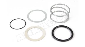 Ремкомплект фильтра Giuliani Anello 3197