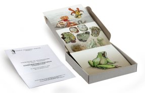 К24 Взаимодействия в природных сообществах (23 карт) 15х15