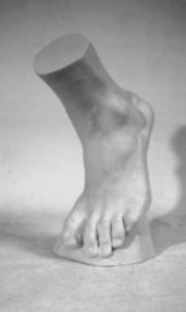 Стопа натуральная (гипс)
