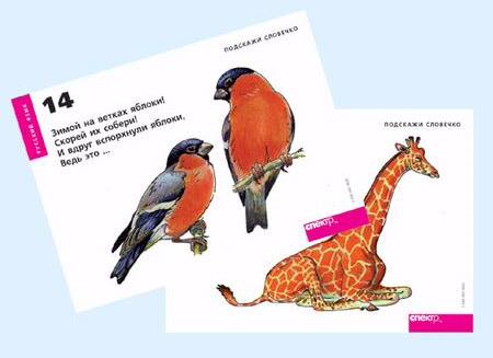 Русский алфавит (4 табл. + 224 карт)