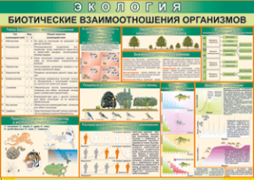 Экология. Биотические взаимоотношения организмов (100х70)