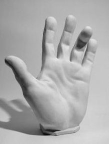 Кисть мужская (вертикальная) гипс