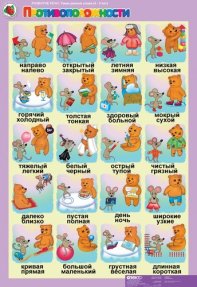 Развитие речи 4-5 лет "Такие разные слова" (5 табл. + 16 карт)