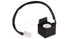 Электромагнитная катушка Riello R.B.L. 3007858