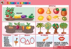 Окружающий мир 5-6 лет "Животные и растениия" (12 таб. + 16 карт)