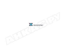 Электродвигатель Hanning OE6y2B3-273 90 Вт