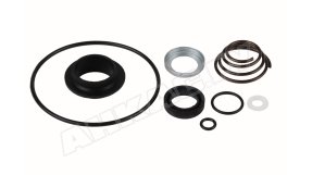 Ремкомплект фильтра Giuliani Anello 3203