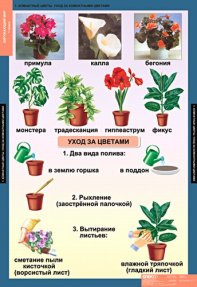 табл. Окружающий мир 1 класс (15 таблиц)