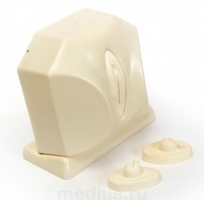 Т08 Тренажер вагинальных исследований