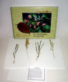 Гербарий "Культурных растений"(28 видов)