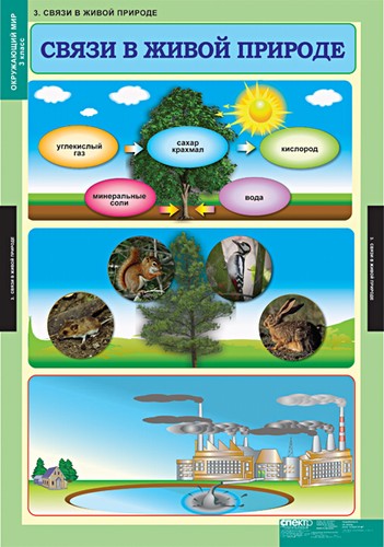 Табл. Окружающий мир 3 класс (15 таблиц)