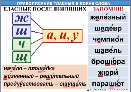 Правописание гласных в корне слова (5табл+32 карт) для начальной школы 50х70 см