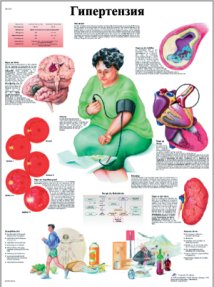 ZVR6361L Гипертензия