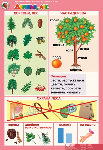 Окружающий мир 5-6 лет "Животные и растениия" (12 таб. + 16 карт)