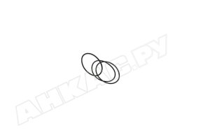 Комплект прокладок Elco Rp 2" 13011733