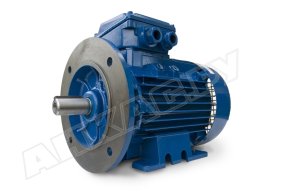 Электродвигатель Seipee 0005010093