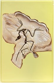 Х13 Археоптерикс (1 планшет, 42х66 см)