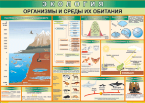 Экология. Организмы и среды их обитания (100х70)