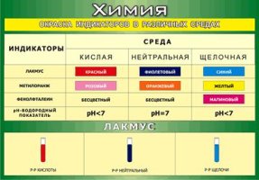 Окраска индикаторов в различных средах (100х140)