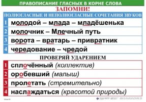 Правописание гласных в корне слова (5табл+32 карт) для начальной школы 50х70 см