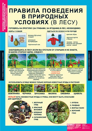 табл. Основы безопасности жизнедеятельности 1-4 кл. ( 10 таблиц)