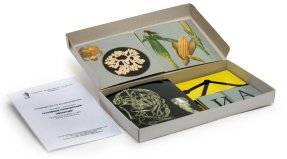 К41 Основные направления эволюции (набор из 33 карт) 15х15, 30х15, 7,5х7,5