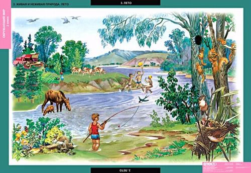 Табл. Окружающий мир 2 класс (15 таблиц)