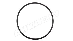 Уплотнительное кольцо Piusi Viscomat 70, R06710000