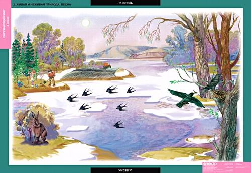 Табл. Окружающий мир 2 класс (15 таблиц)