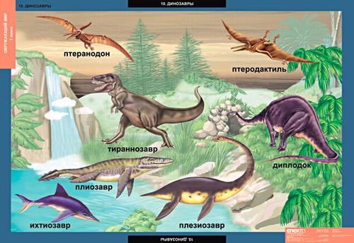 табл. Окружающий мир 1 класс (15 таблиц)