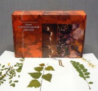 Гербарий для начальной школы