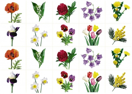 Цветы, комплект карточек, 10 шт, 25х35. Серия  "Запоминай, играй, считай."