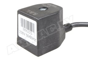 Электромагнитная катушка Riello 3003828