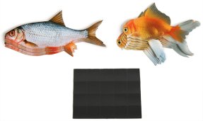 Счетный материал на магнитах "Рыбки" 20 шт.