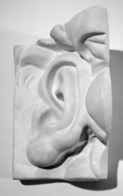 Деталь Ухо левое Давида (гипс)