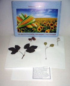 Гербарий "Сельскохозяйственные растения" (28 видов)