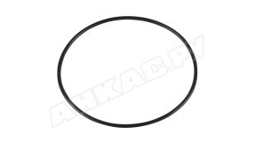 Уплотнительное кольцо Piusi R10273000