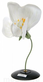 Д02 Модель цветка гороха