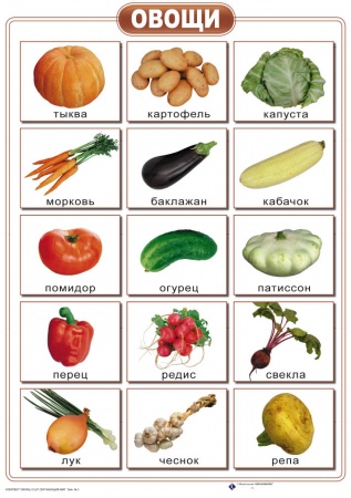 Комплект таблиц "Окружающий мир" 10 шт. 50х70