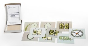 К36 Размножение многоклеточной водоросли (набор из 9 карт) 15х15