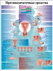 ZVR6591L Противозачаточные средства