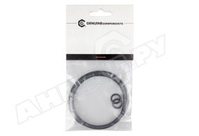 Ремкомплект (сальники) серии Pumpmaster 3+3 Samoa, 740974.002