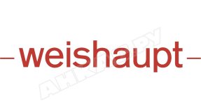 Шайба Weishaupt, 431613