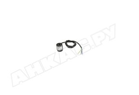 Электромагнитная катушка Riello R.B.L. 3002300