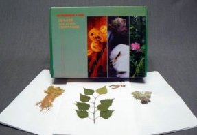 Гербарий для курса географии (20 видов)