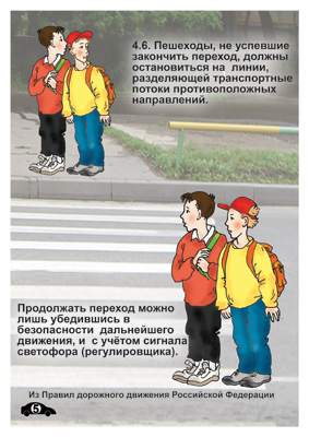 Мультимедийный образовательный комплекс по профилактике дорожно-транспортного травматизма для учащихся 5-9 классов