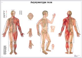 ZVR6820L Акупунктура тела