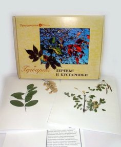 Гербарий "Деревьев и кустарников"