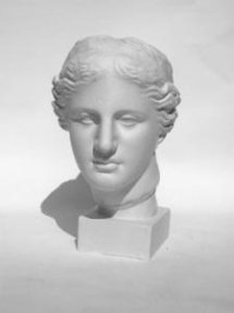 Голова Венеры Милосской (гипс)