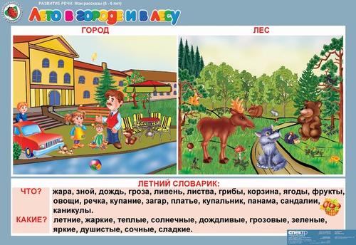Развитие речи 5-6 лет "Мои рассказы" (8 табл.)